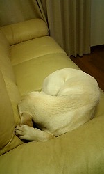 c0114121_21473352.jpg