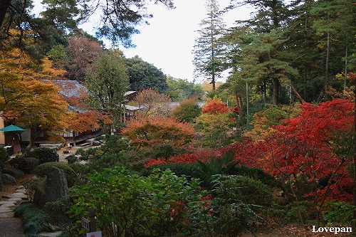 c0136926_7562262.jpg