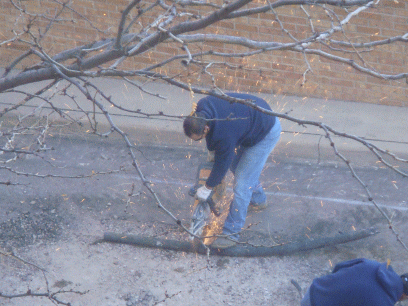 e0127329_15162731.gif