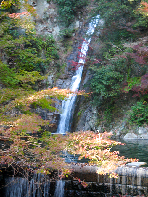 d0017632_1872366.jpg