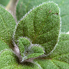 f0108133_025043.jpg