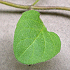 f0108133_025247.jpg