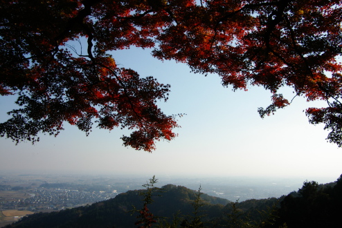 大平山の秋_f0145933_075927.jpg