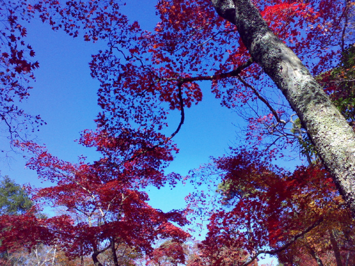 f0134737_20152391.jpg