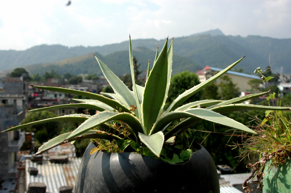 c0149641_1131686.jpg
