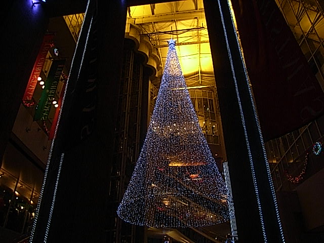f0040342_21322412.jpg