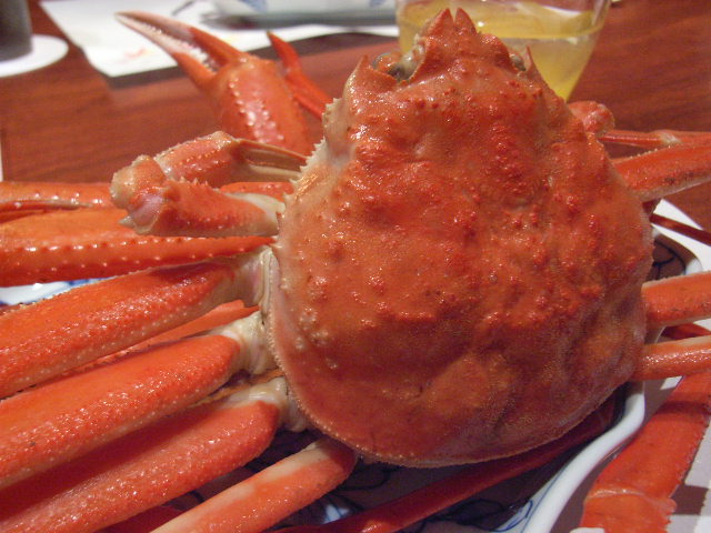 11月28日(水) 逸品登場【能登を食べる会】その3_d0082944_1446830.jpg