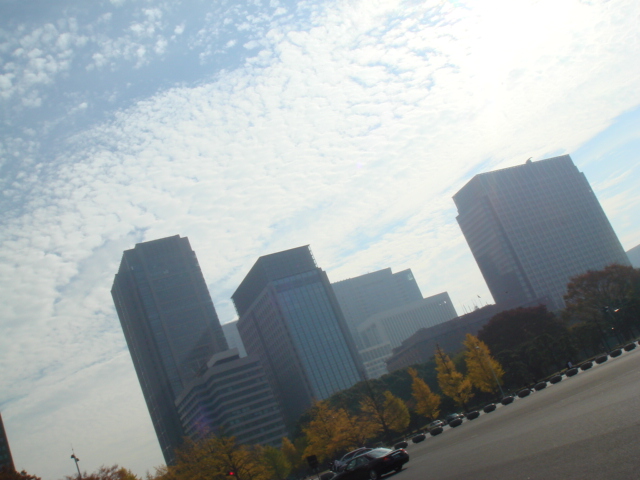 f0147746_31096.jpg