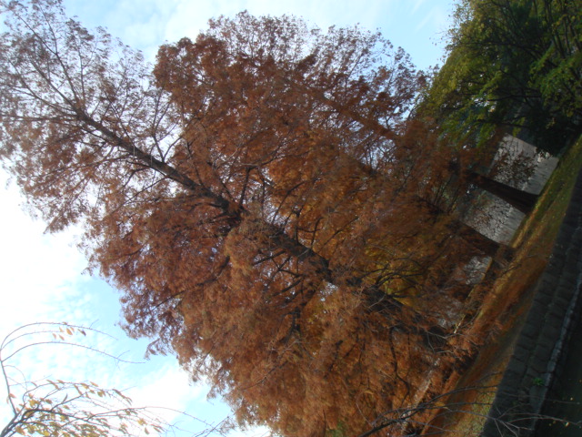 f0147746_39236.jpg