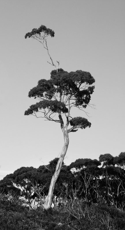 f0137354_1385364.jpg