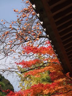 c0111557_921418.jpg