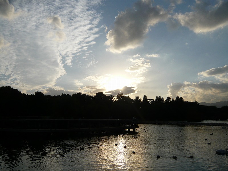 a0017161_21282589.jpg