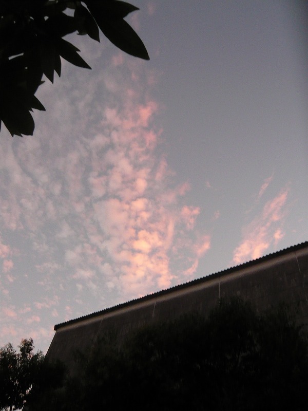 a0017161_2138506.jpg