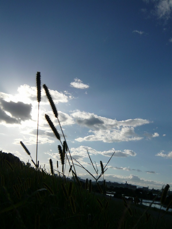 a0017161_2140632.jpg