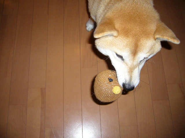 2007年11月28日(水)雨の日は・・・_f0060461_14564064.jpg