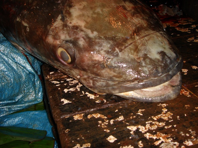 c0134569_2044348.jpg