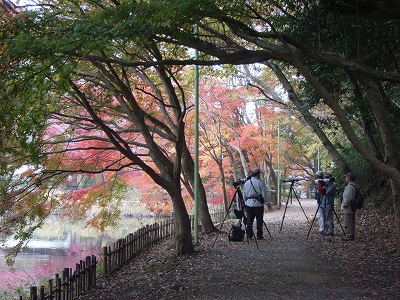 d0092969_01602.jpg