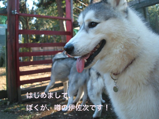 d0087675_031971.gif