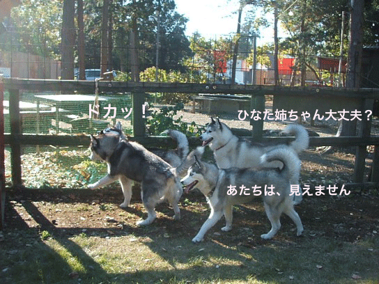 d0087675_0411771.gif