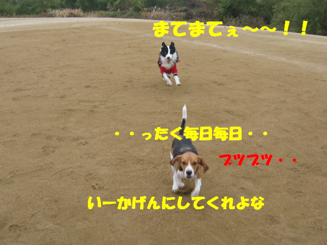 e0117976_13372868.jpg