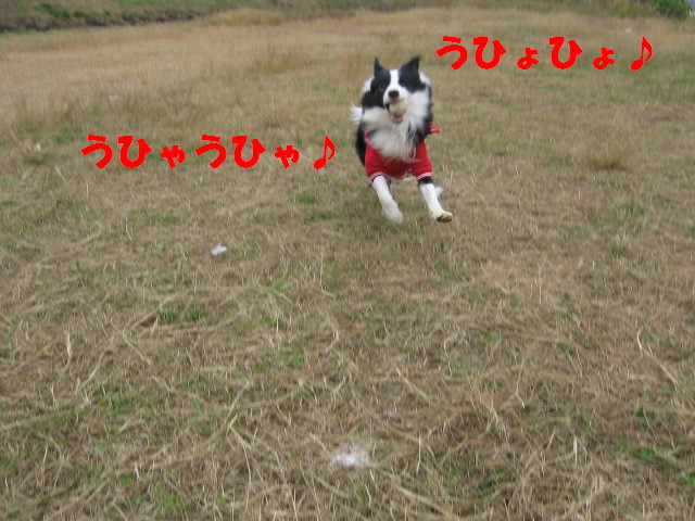 e0117976_13375613.jpg