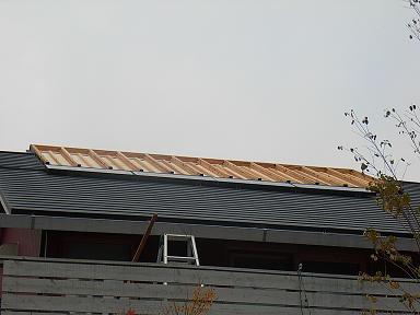 b0095981_1340321.jpg