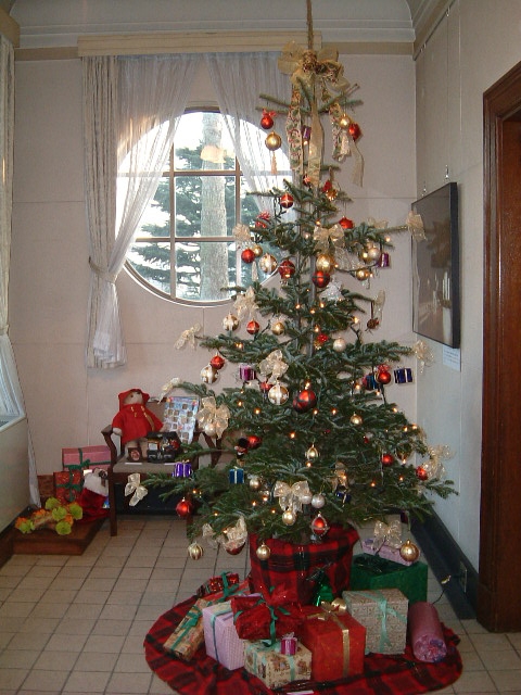 クリスマスのフラワーアレンジ教室_c0128489_1620546.jpg