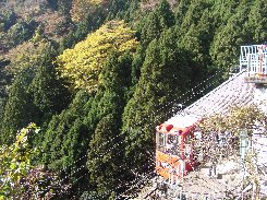 紅葉狩り（大山/神奈川県）_a0004391_0154266.jpg