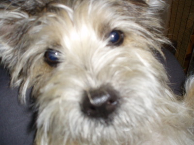 c0086895_2059214.jpg