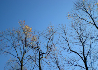 d0129295_14335771.jpg