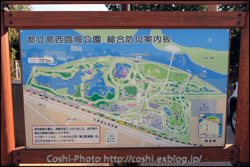 葛西臨海公園でピクニック_a0110096_14443172.jpg