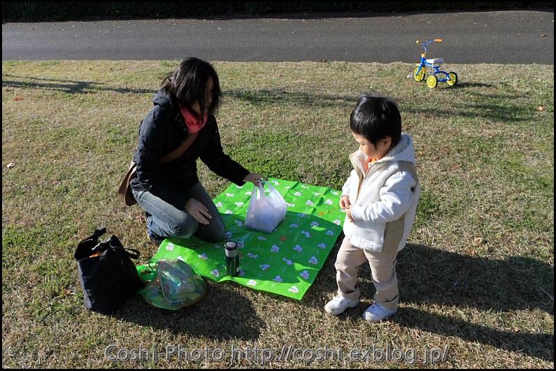 葛西臨海公園でピクニック_a0110096_144571.jpg