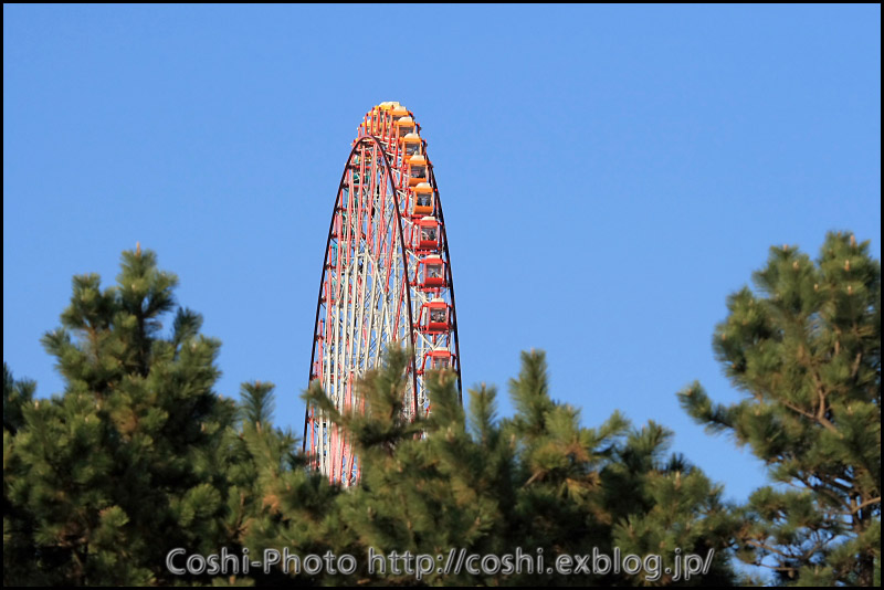 葛西臨海公園でピクニック_a0110096_14492844.jpg