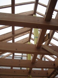 e0058898_842323.jpg