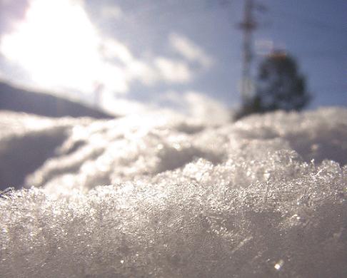 c0049708_175441.jpg