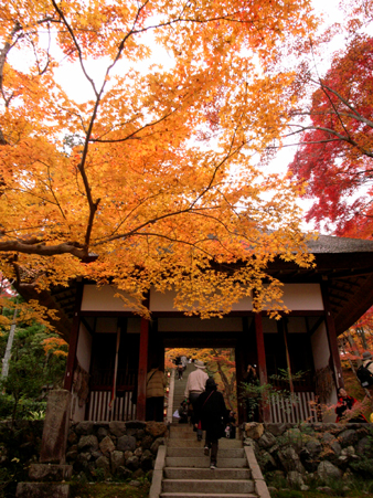 たび日記：常寂光寺_f0079110_19375279.jpg