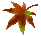 f0083610_054426.gif
