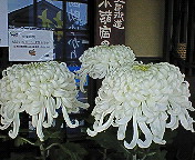 e0076814_23245330.jpg