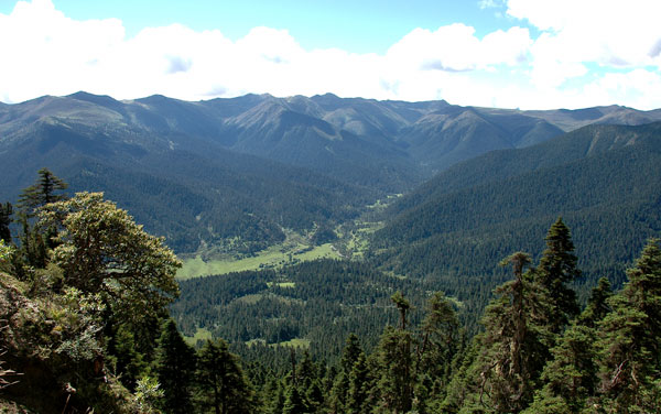 f0115214_9403094.jpg