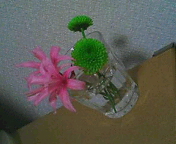 b0083918_17415777.jpg