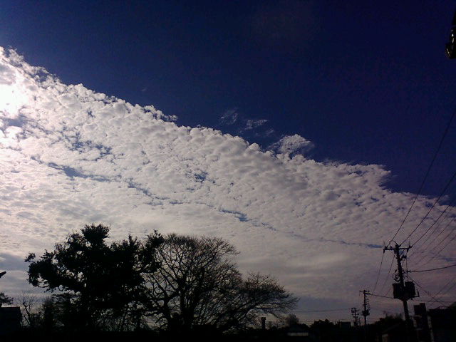 f0126418_16375214.jpg