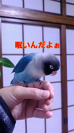 f0126418_16451948.jpg