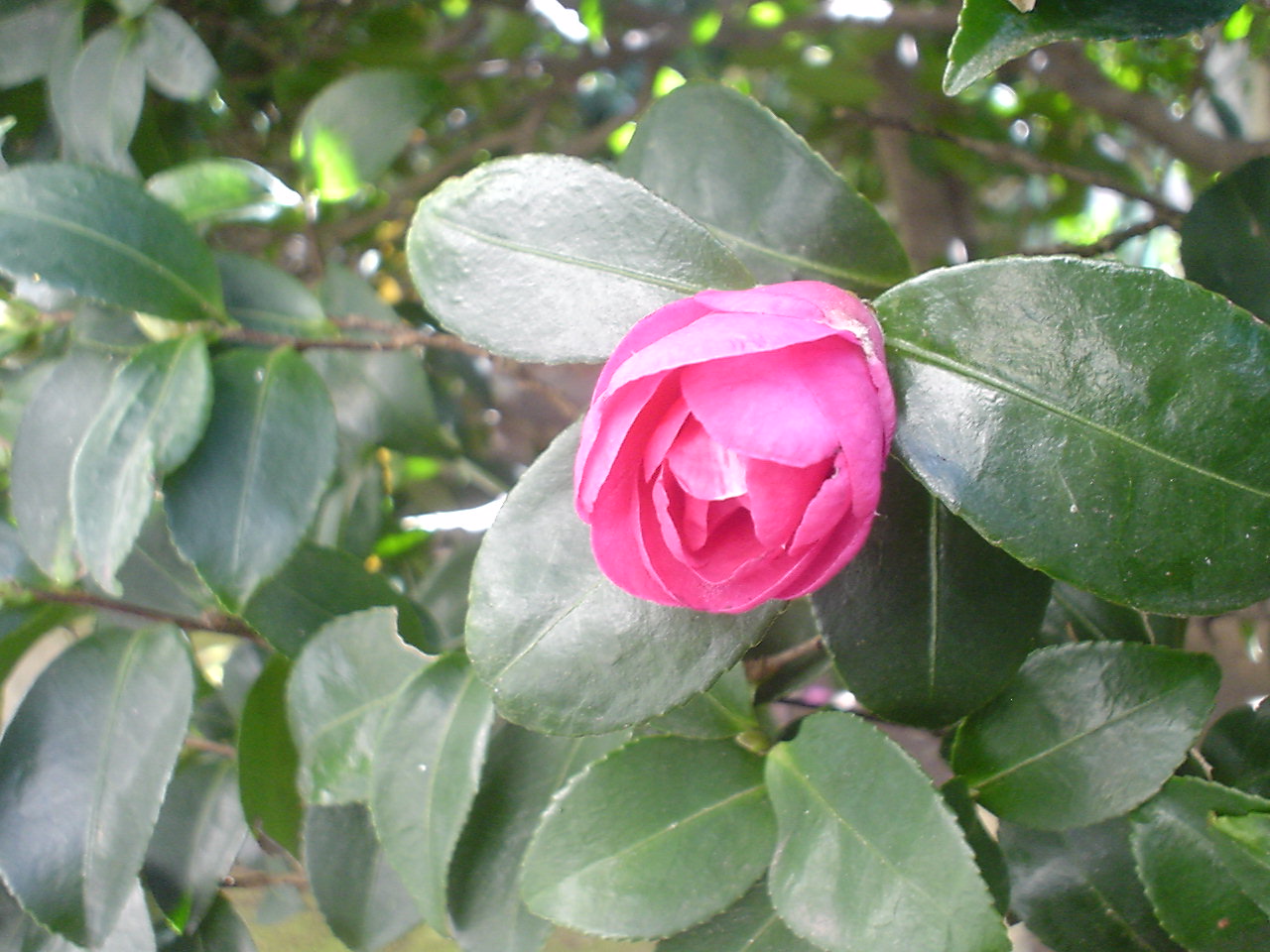 c0150520_0185721.jpg