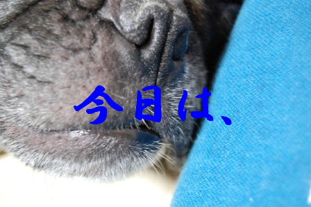c0130324_214924100.jpg