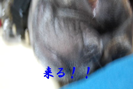 c0130324_22111925.jpg