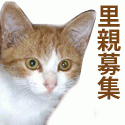 d0081025_17524285.gif