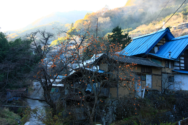 晩秋の里山風景_f0081726_2213714.jpg