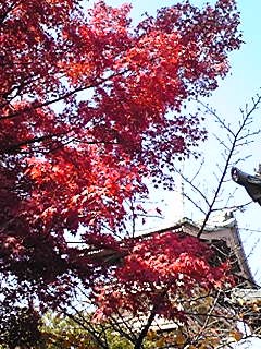c0104930_23422574.jpg