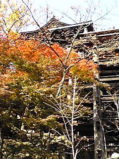 c0104930_2347095.jpg