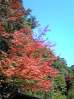 c0104930_23492126.jpg
